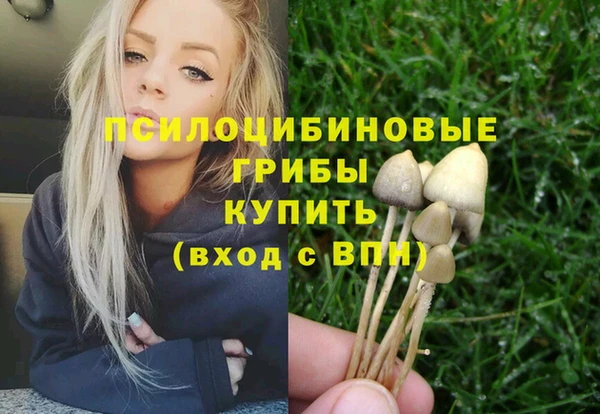 спиды Абинск