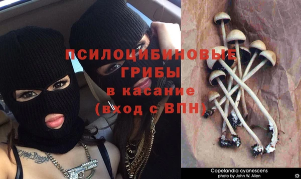 спиды Абинск