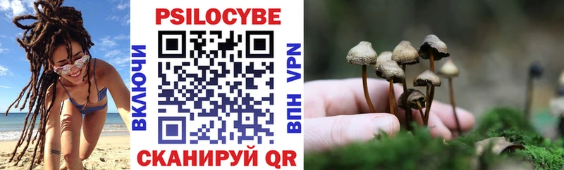 KRAKEN tor  наркота  Балаково  Галлюциногенные грибы Psilocybine cubensis 